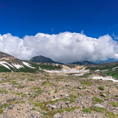 大雪山雲ノ平の景色の写真