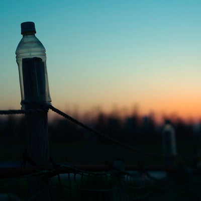 害鳥除けのペットボトルと暮れる夕日の写真