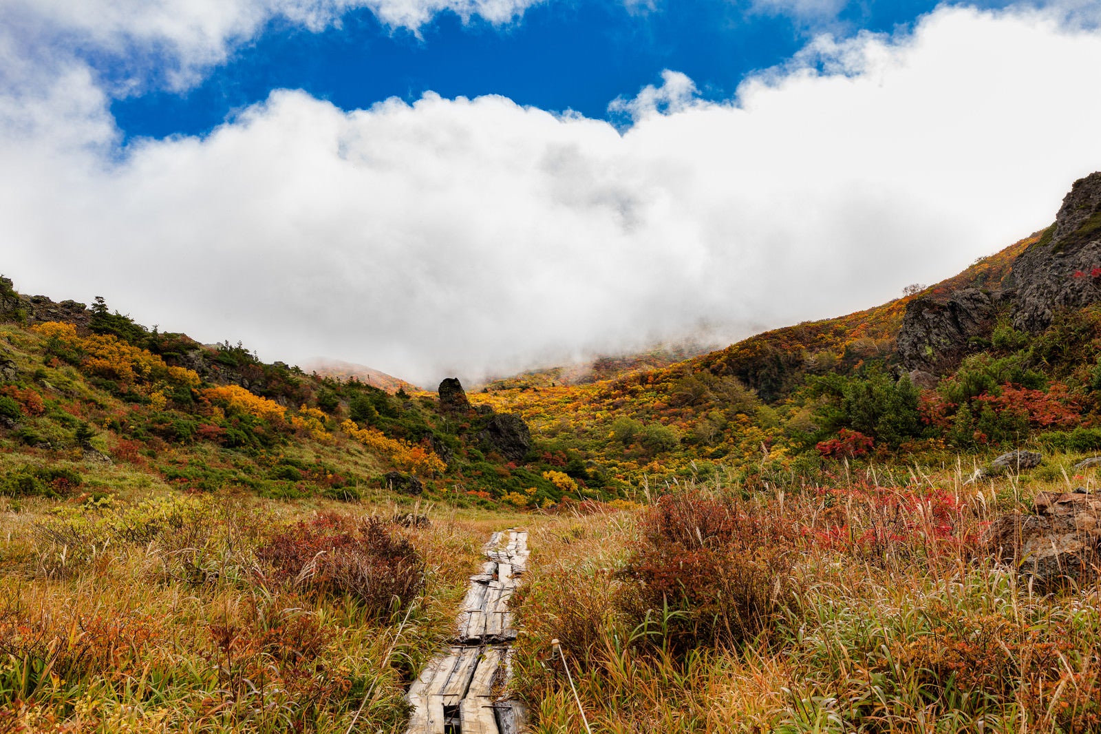 「秋の栗駒山へ続く木道」の写真