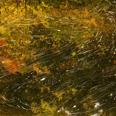 水面に映る紅葉と泡の流れの写真