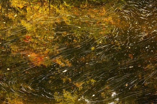 水面に映る紅葉と泡の流れの写真