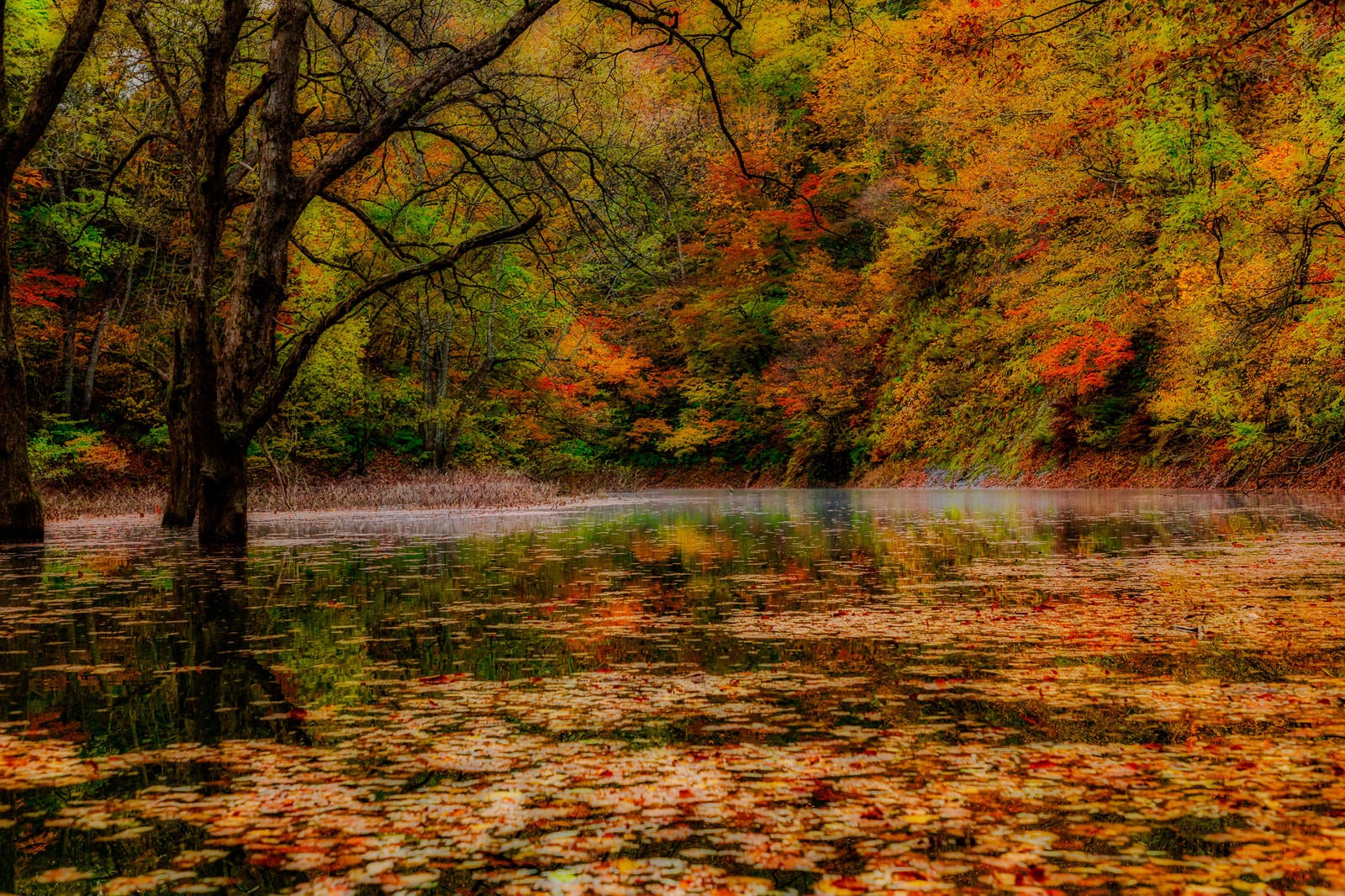 「秋の紅葉と落葉の川面」の写真
