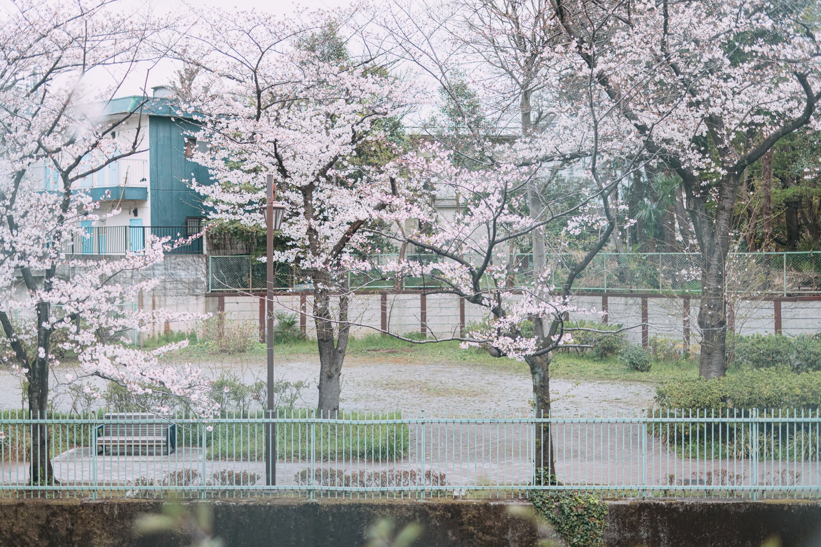 「石神井川緑道と公園」の写真