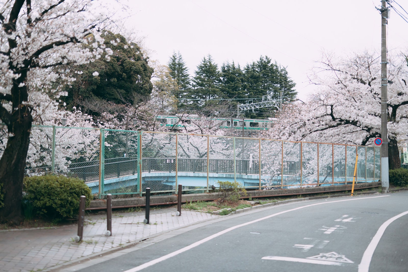 「桜満開の石神井川と吾妻橋付近（後ろに見えるのは埼京線）」の写真