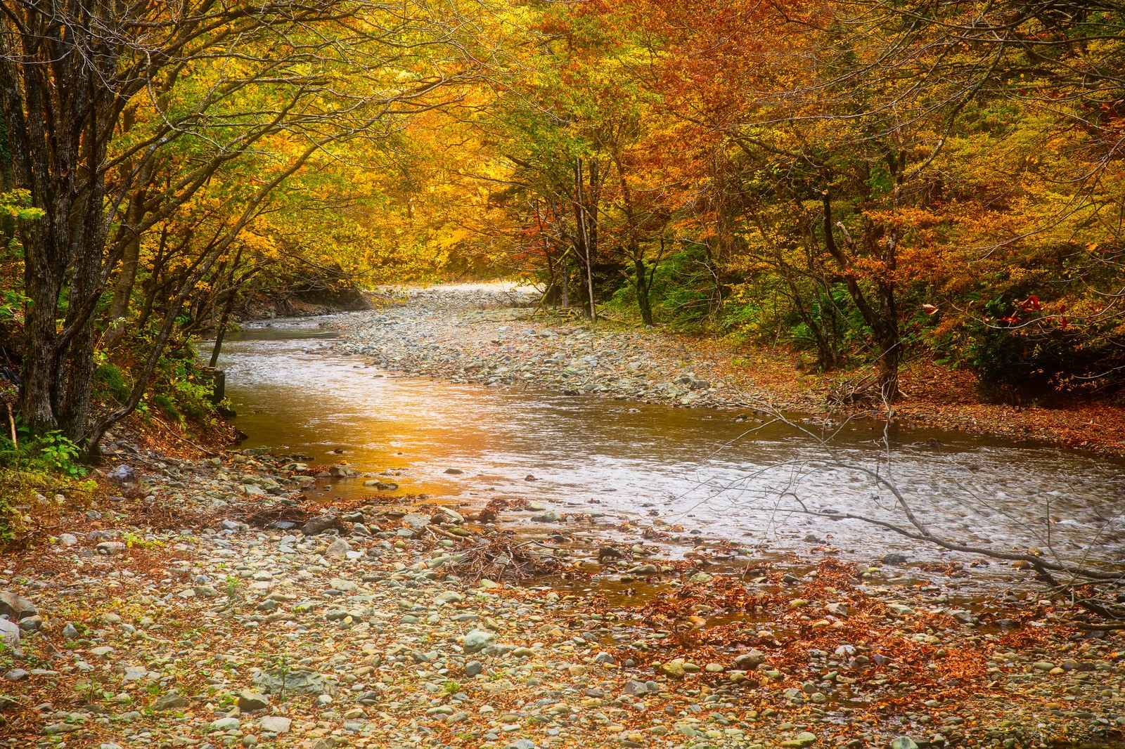 「秋の紅葉と真木渓谷（秋田県大仙市）」の写真
