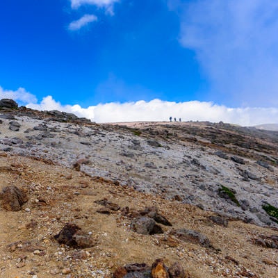 火山性の地面が特徴的な旭岳周辺の写真