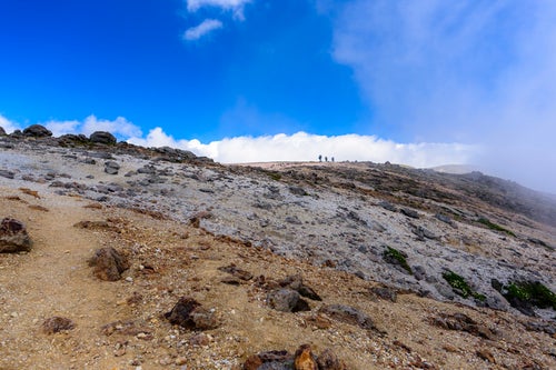 火山性の地面が特徴的な旭岳周辺の写真