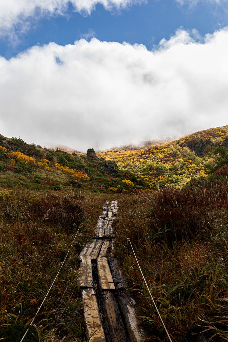 「色付き始めた山へと続く朽ちた木道」の写真