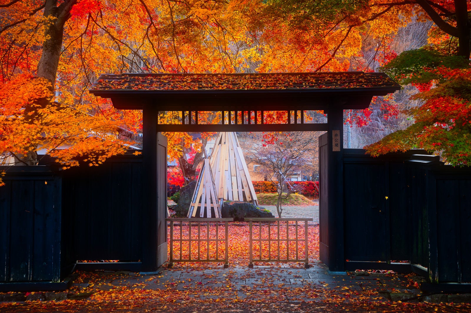 「雨上がりの和風の門と落葉（角館武家屋敷）」の写真