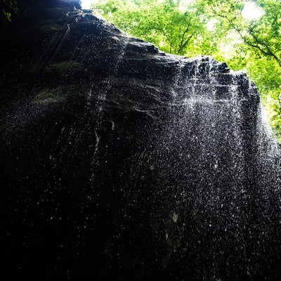 しぶきが眩しい新緑期の岩井滝の写真