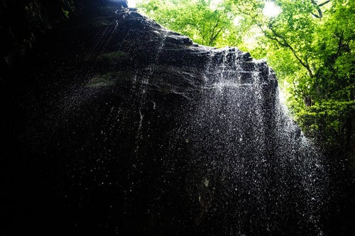 しぶきが眩しい新緑期の岩井滝の写真