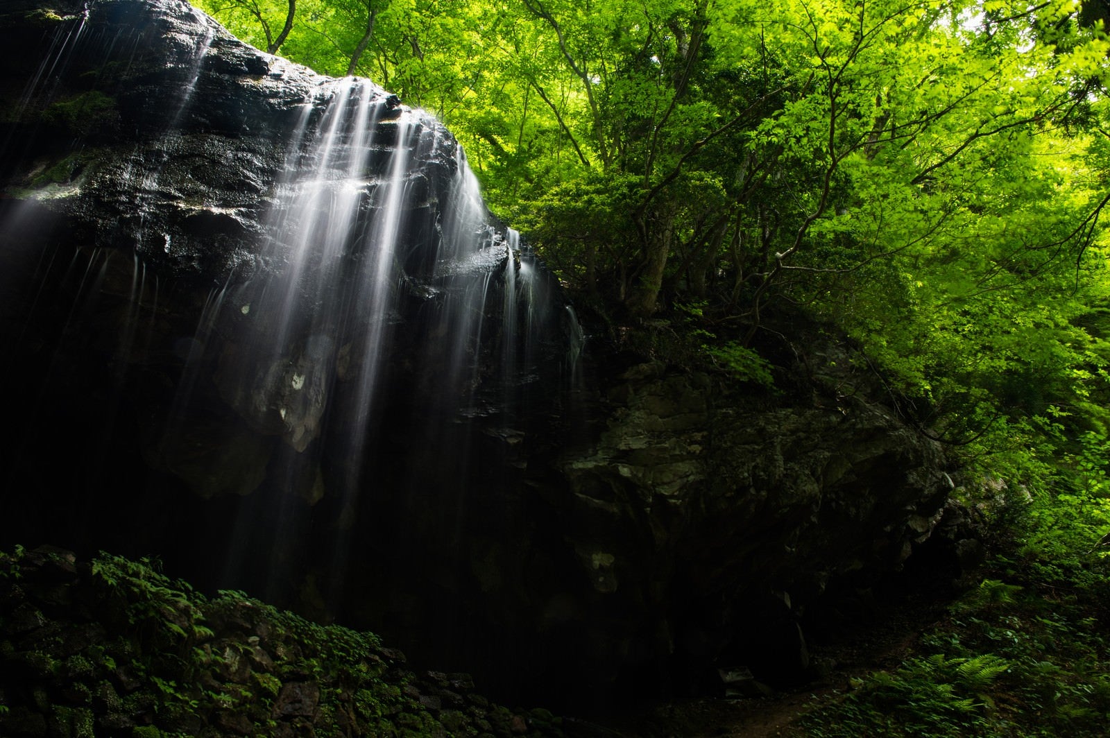 「新緑期の岩井滝（岡山県鏡野町）」の写真
