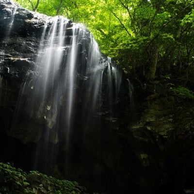 岡山県鏡野町の観光名所-岩井滝の写真