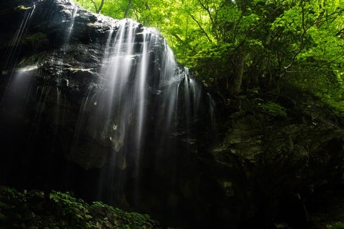 岡山県鏡野町の観光名所-岩井滝の写真