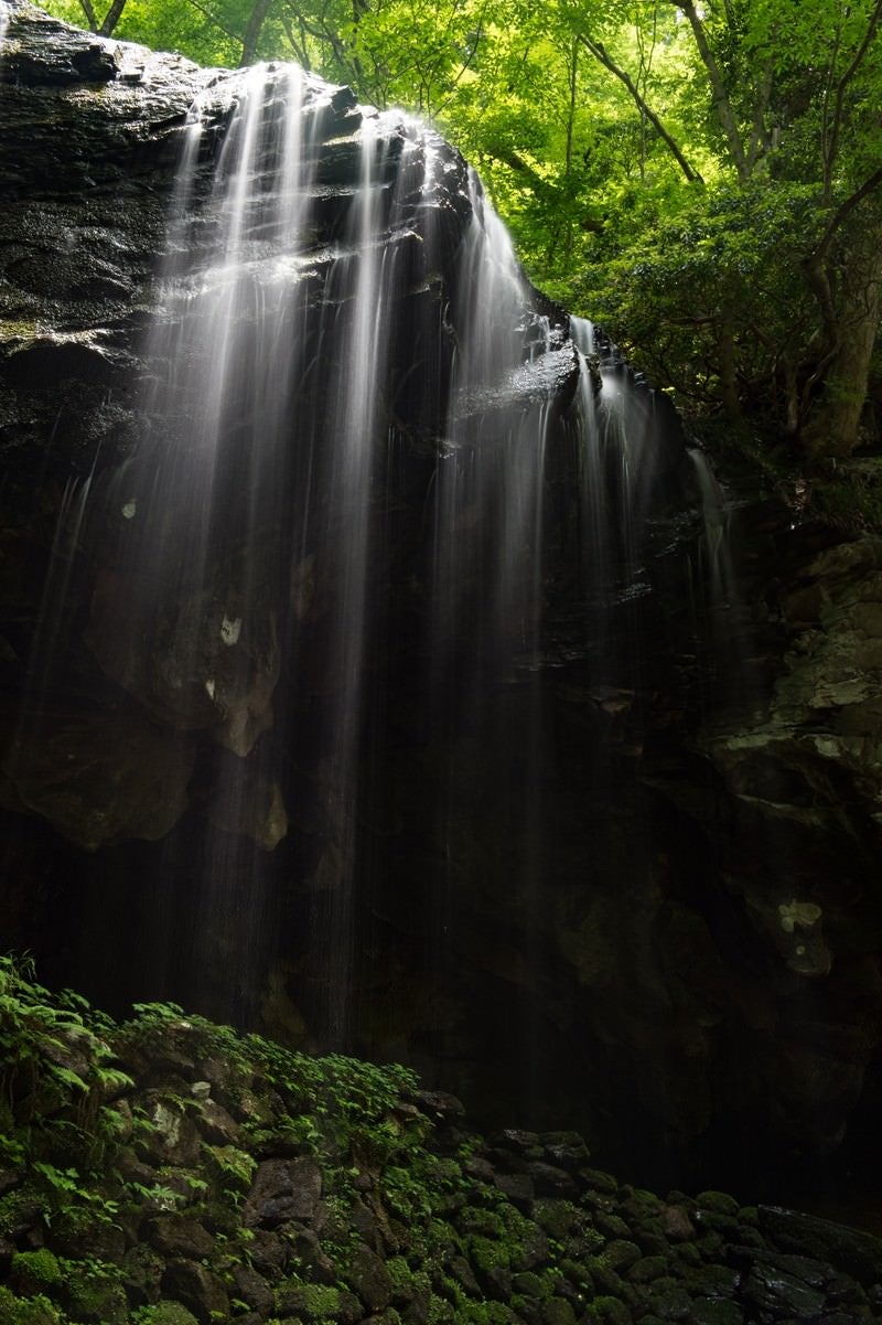 「裏見の滝とも呼ばれる岩井滝」の写真