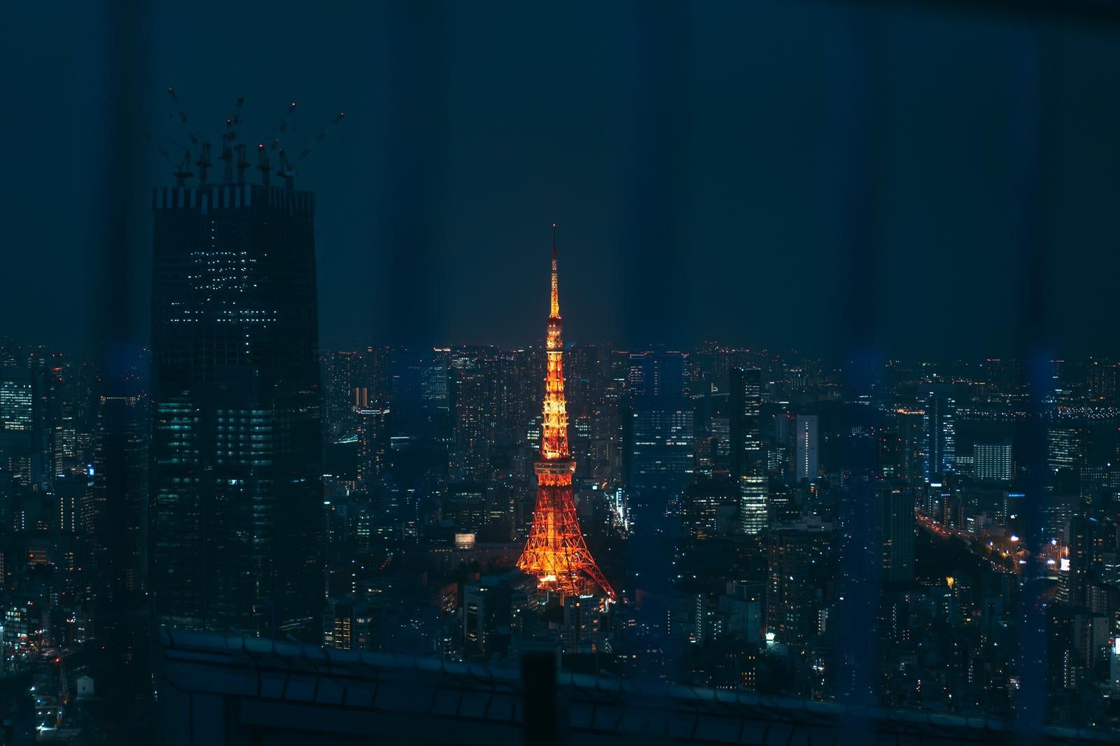「ひときわ目立つ夜の東京タワー」の写真