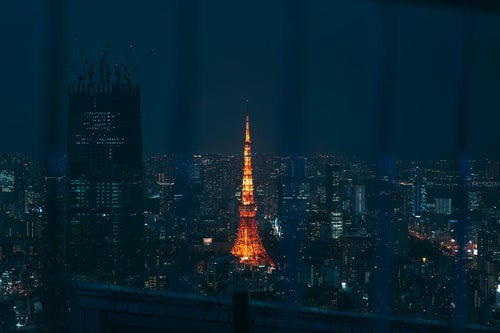 ひときわ目立つ夜の東京タワーの写真