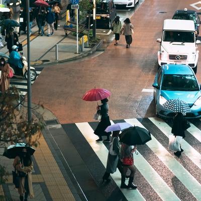 雨の都市風景、 横断歩道と歩行者の写真
