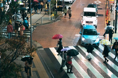 雨の都市風景、 横断歩道と歩行者の写真