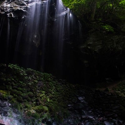 岩井滝と新緑（岡山県鏡野町6月）の写真