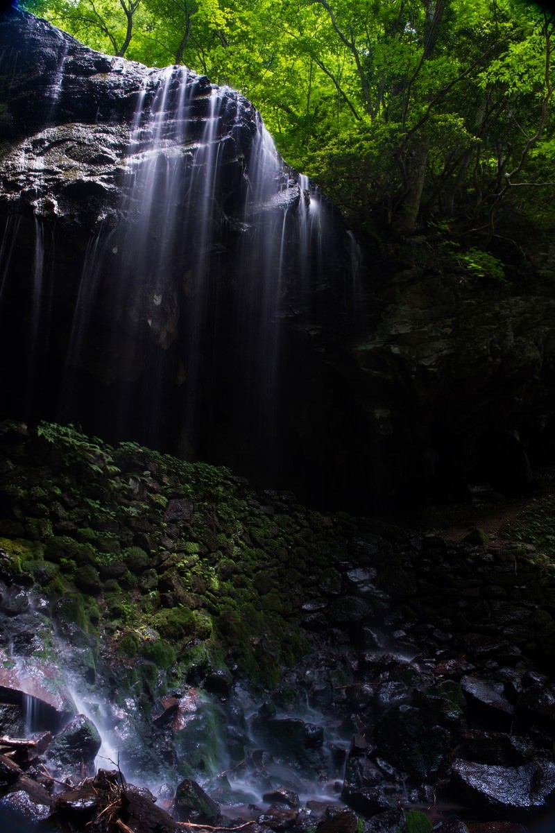 「岩井滝と新緑（岡山県鏡野町6月）」の写真