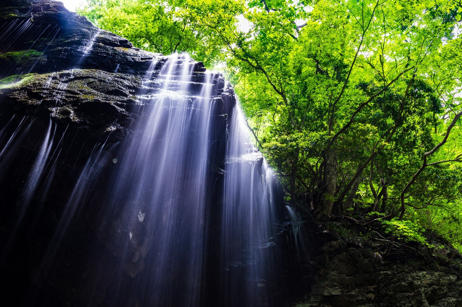 「鏡野町の岩井滝」の写真