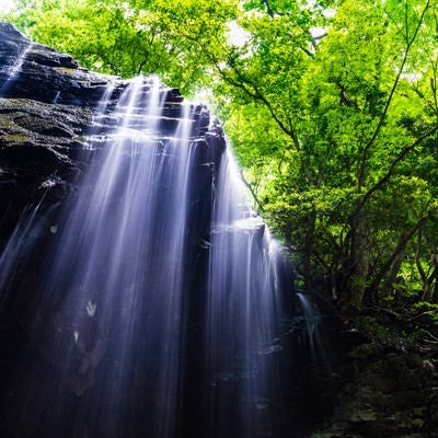 鏡野町の岩井滝の写真