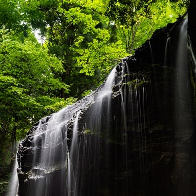 初夏の新緑と岩井滝（岡山県鏡野町）の写真