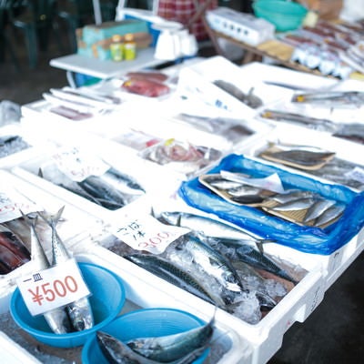 朝市で売られている鮮魚の写真