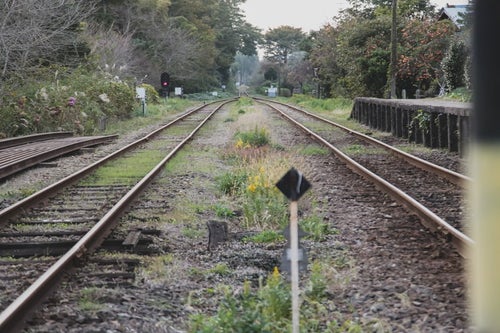 いすみ鉄道の線路の写真