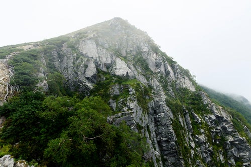 中央アルプス稜線にて切り立つ岩の壁の写真
