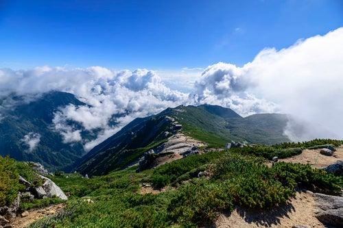真っ青な青空と駒峰ヒュッテへの稜線の写真