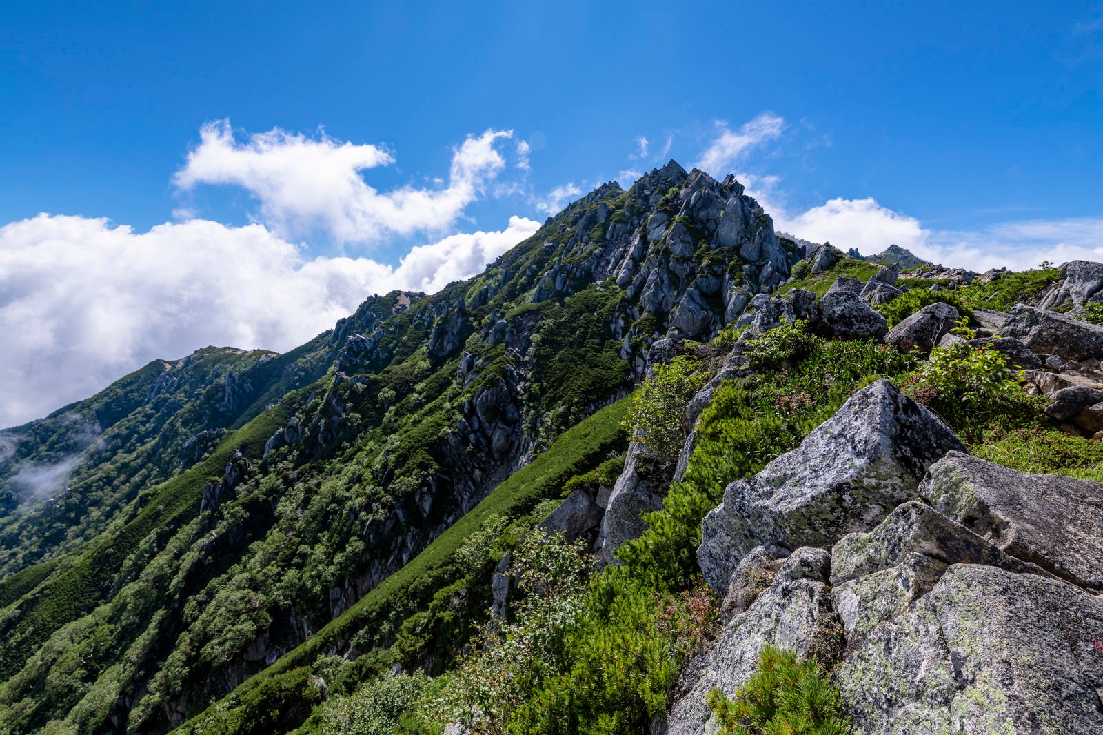 「花崗岩がそびえたつ中央アルプスの稜線」の写真