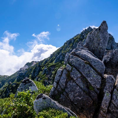 花崗岩とハイマツが特徴的な中央アルプスの稜線の景色の写真