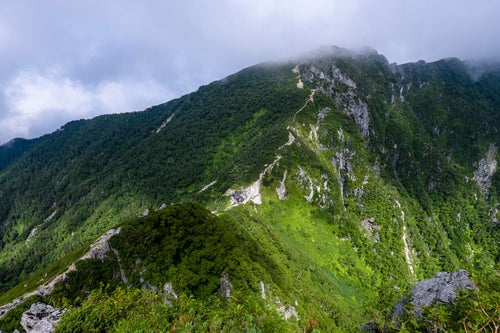 谷間に立つ木曽殿山荘（空木岳）の写真
