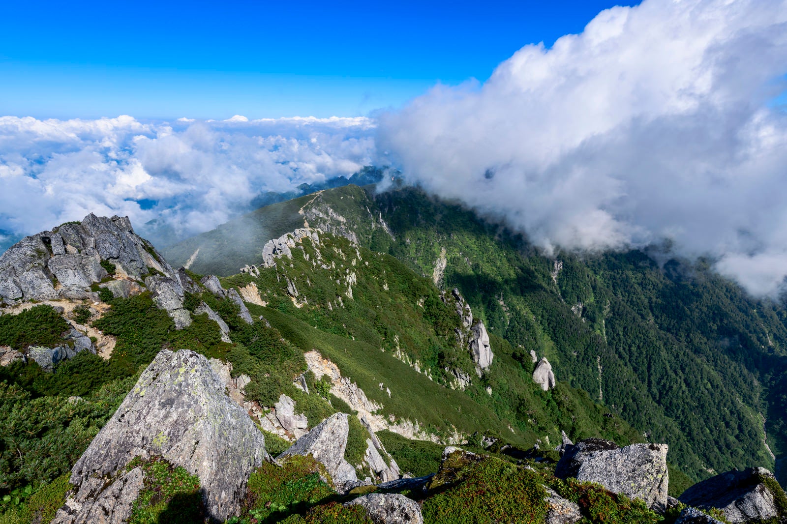 「雲に包まれる中央アルプス稜線」の写真
