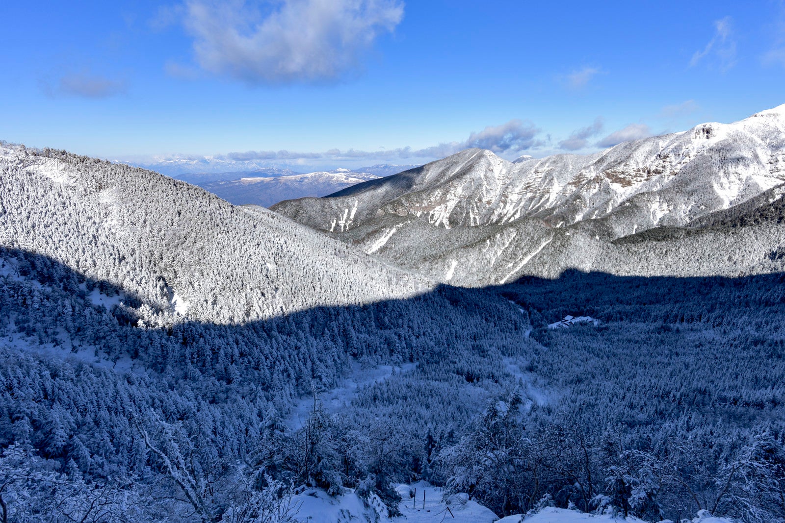 「赤岳の影が重なる八ヶ岳の雪の森」の写真