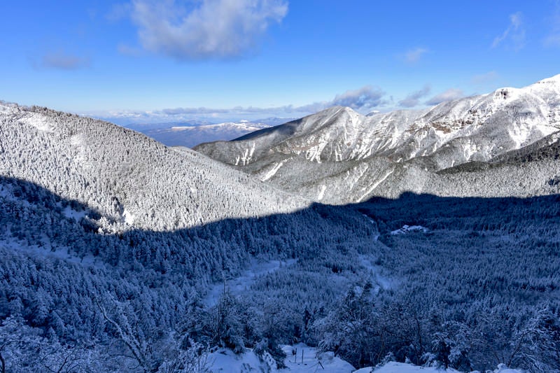赤岳の影が重なる八ヶ岳の雪の森の写真