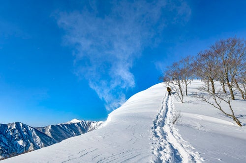 雪の中のトレースをたどる登山者と雪煙（谷川岳）の写真