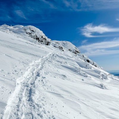 雪の斜面につけられたか細い足跡（谷川岳）の写真