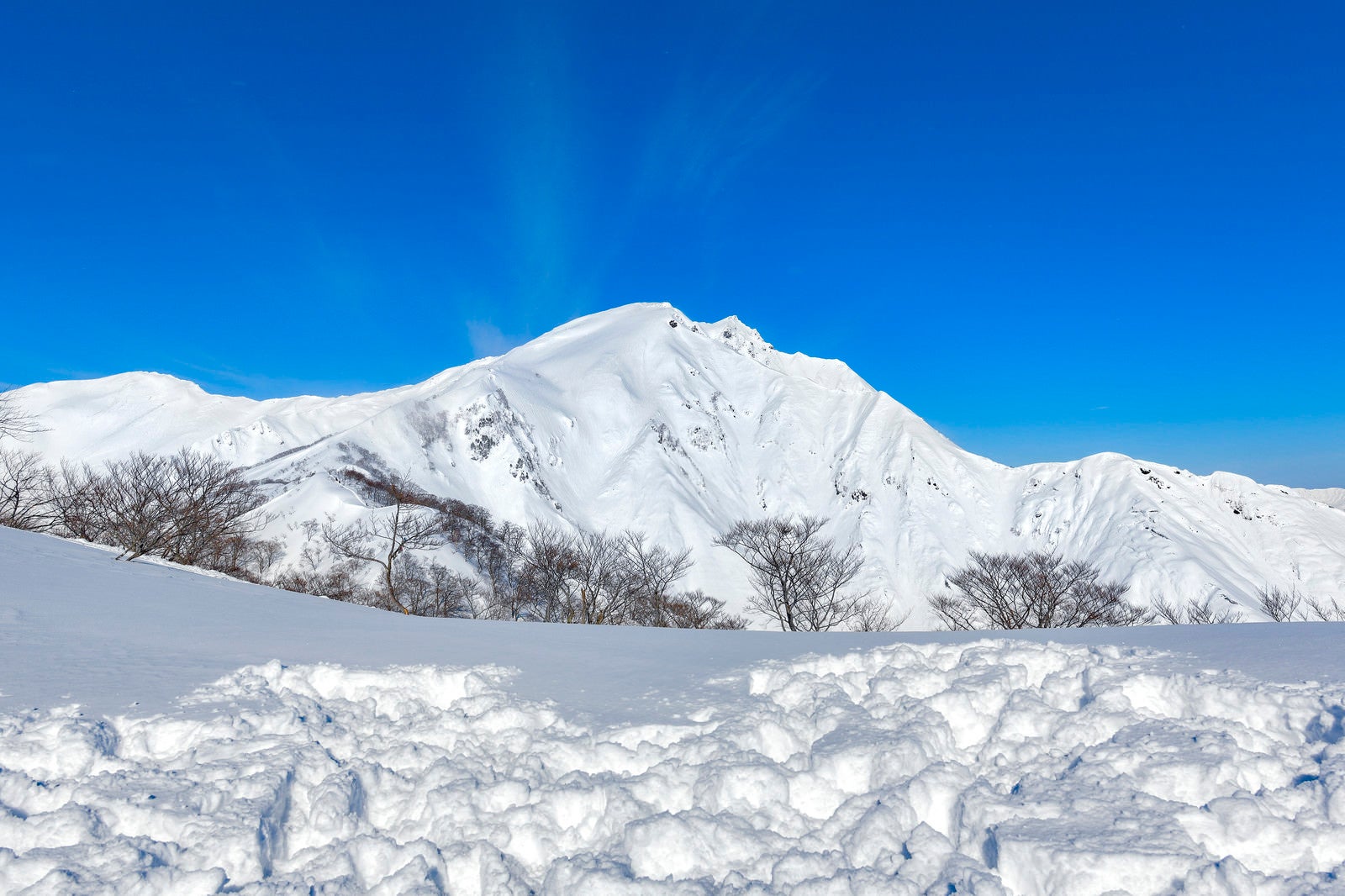 「青空の元の真っ白な谷川岳」の写真