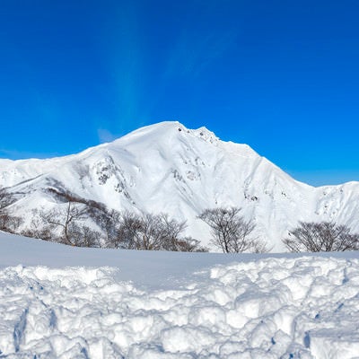 青空の元の真っ白な谷川岳の写真