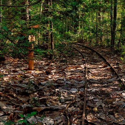 森林鉄道の線路跡の写真