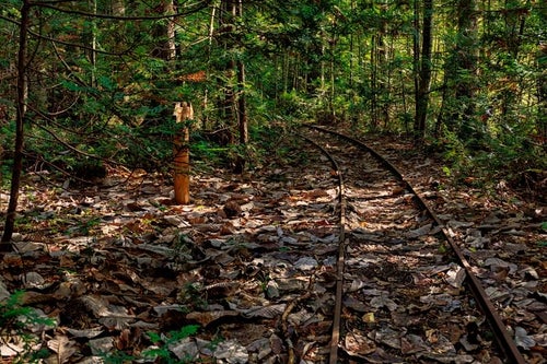 森林鉄道の線路跡の写真
