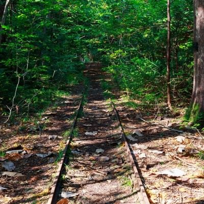 森林鉄道跡の写真