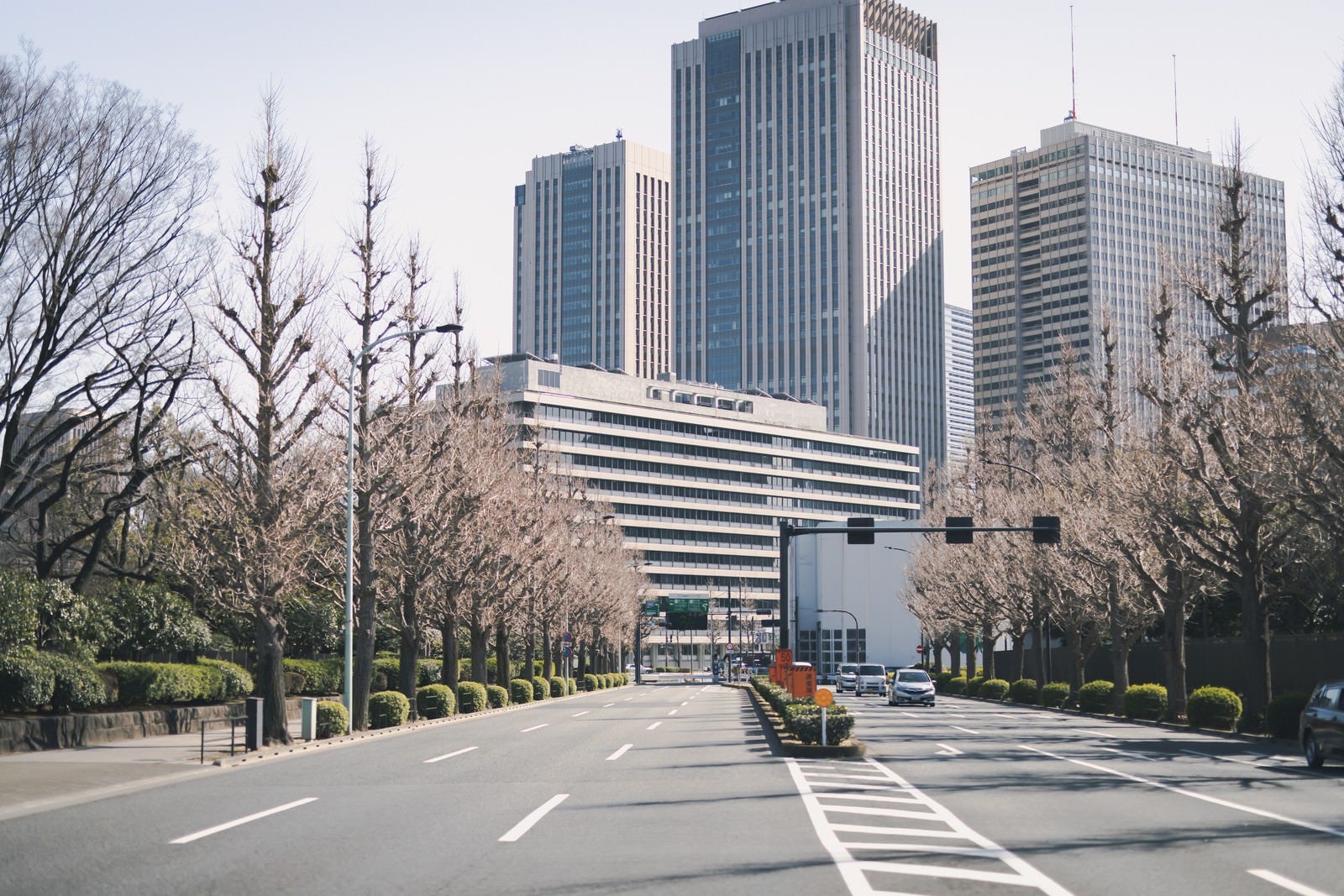 「車道から見る霞ヶ関の街並み」の写真