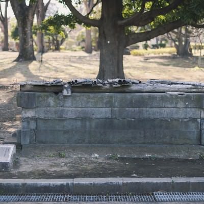 東京都指定旧跡　江戸の名水「櫻の井」の写真