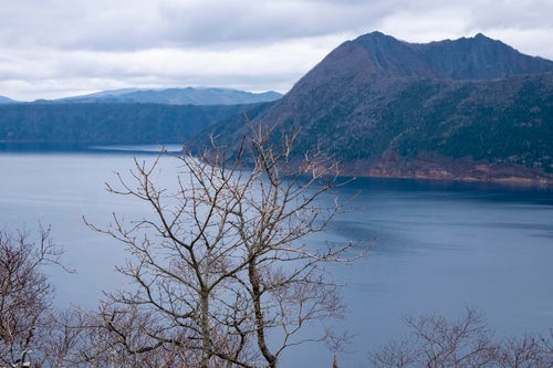 北海道・摩周湖と木々の写真