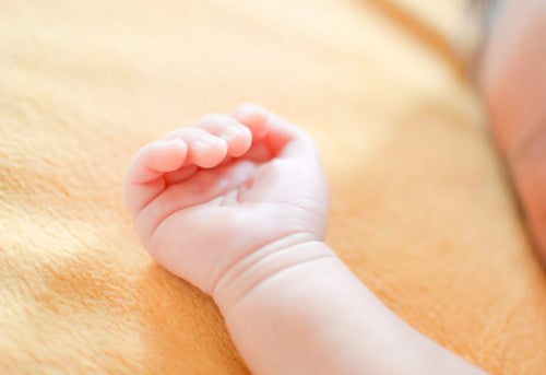 生まれたばかりの赤ちゃんの手の写真