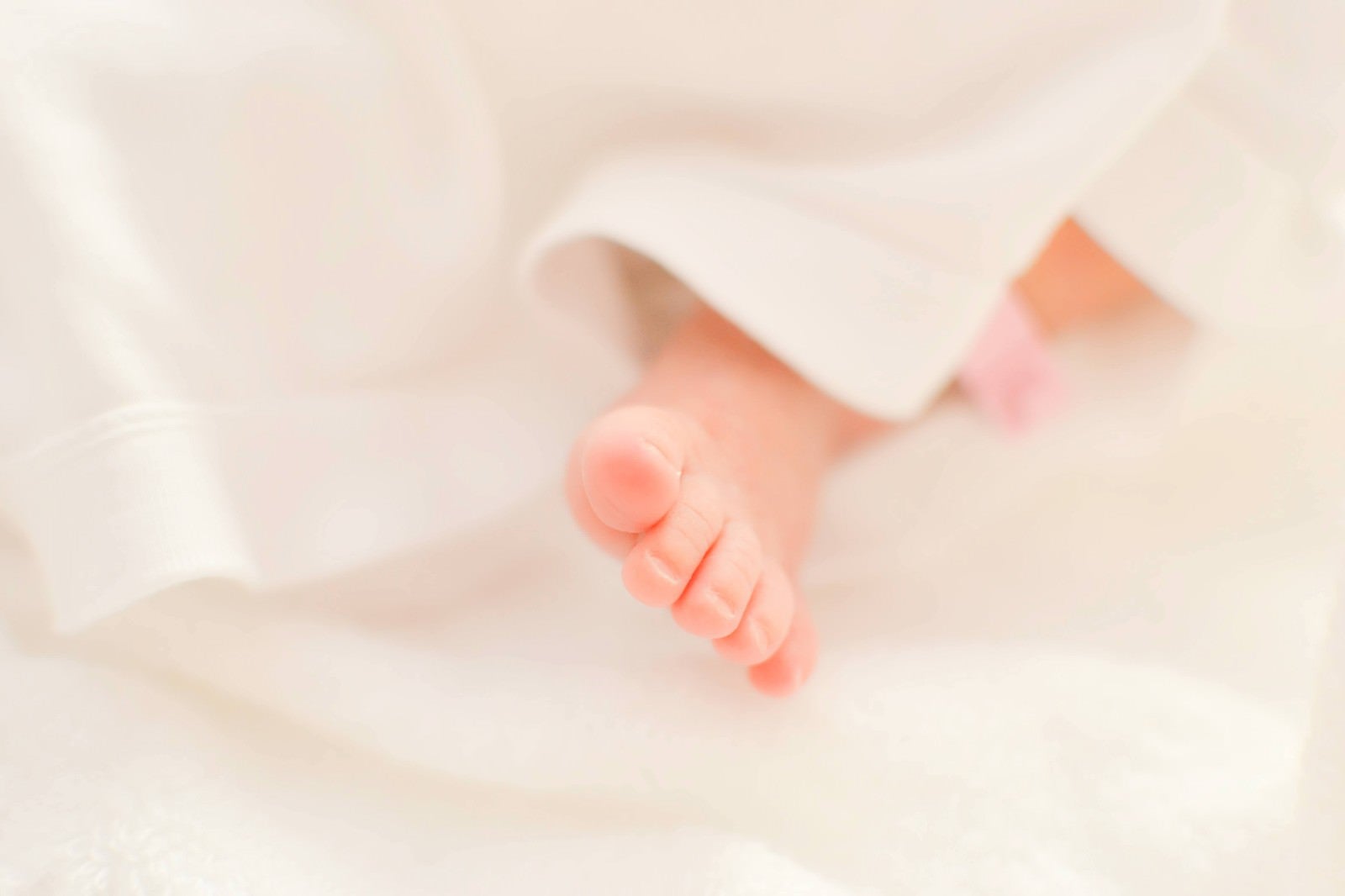 「新生児のムチムチな小さい両足」の写真